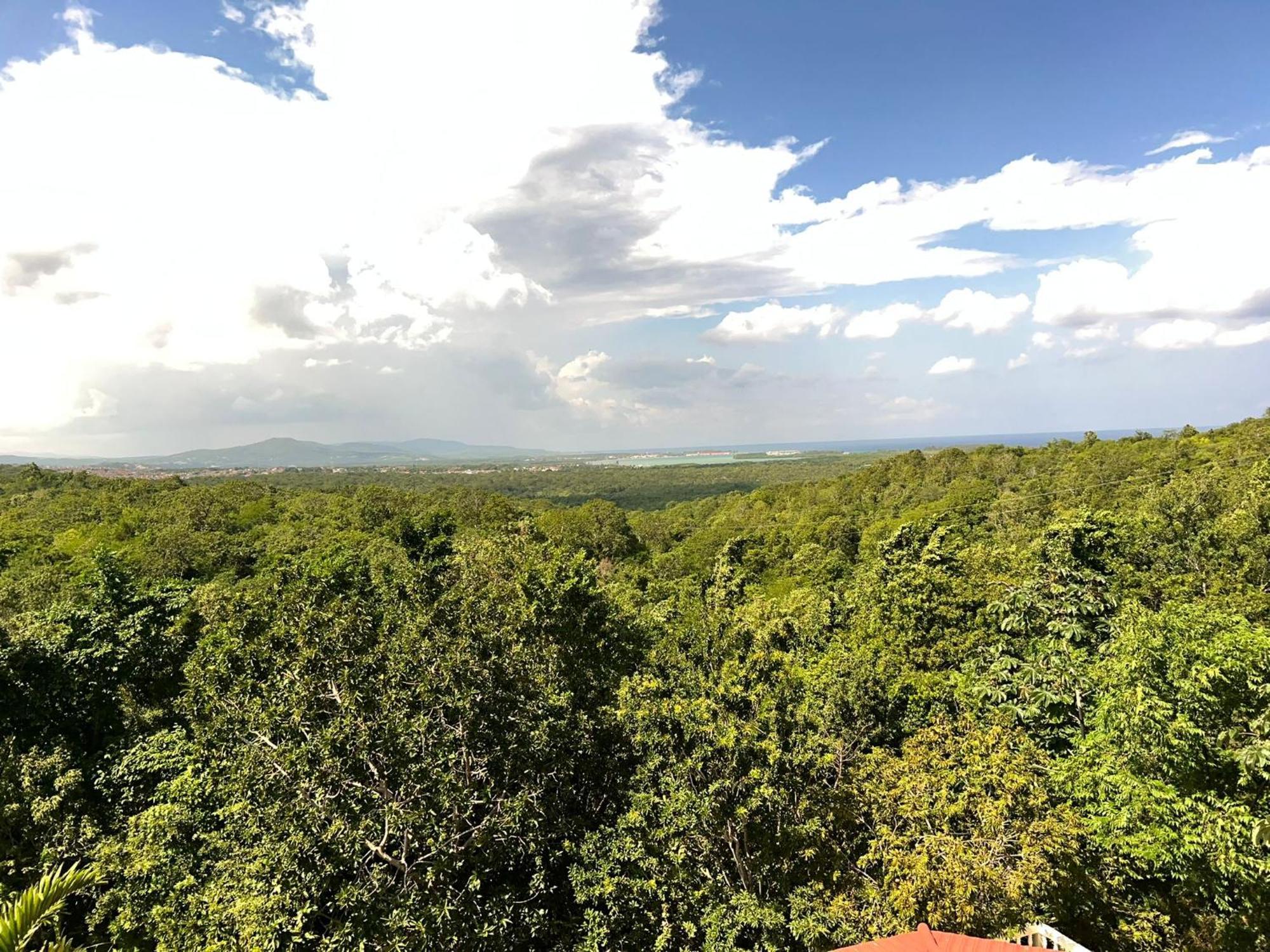 Retreat Guest House Falmouth Εξωτερικό φωτογραφία