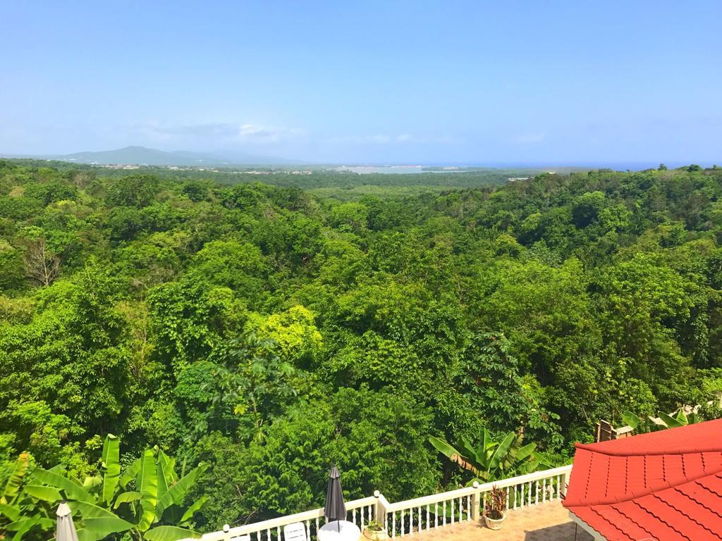 Retreat Guest House Falmouth Εξωτερικό φωτογραφία
